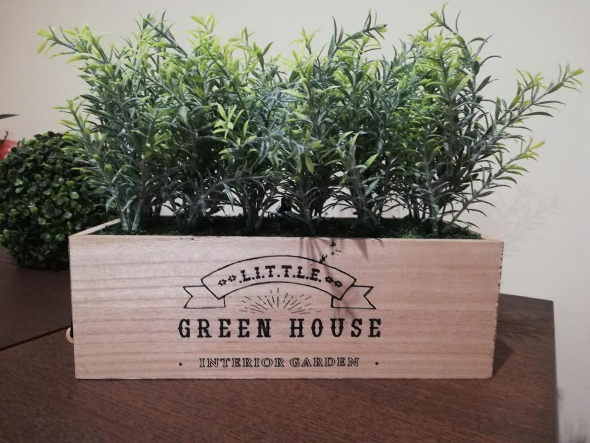 Green House Aveiro Dış mekan fotoğraf